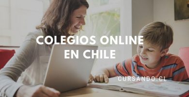 colegios online chile