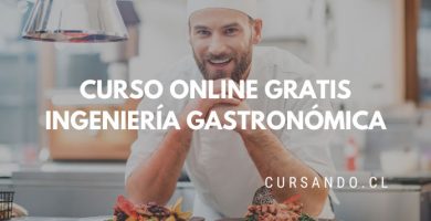 curso online ingenieria gastronomica